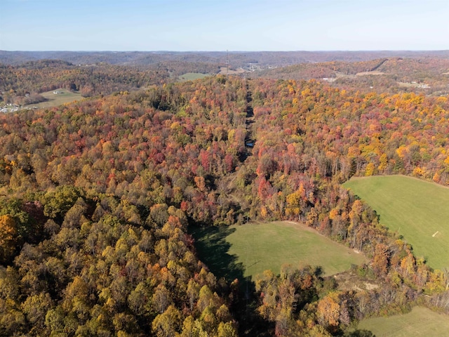 ParcelC Guston Run Road, Morgantown, WV 26505