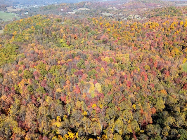 ParcelC Guston Run Road, Morgantown, WV 26505