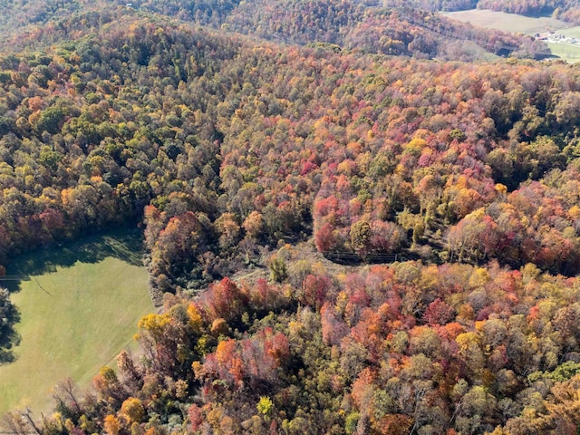 ParcelC Guston Run Road, Morgantown, WV 26505