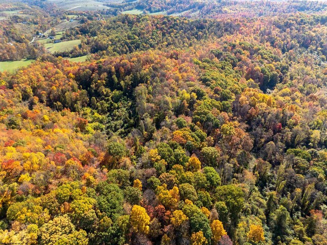 ParcelD Guston Run Road, Morgantown, WV 26505