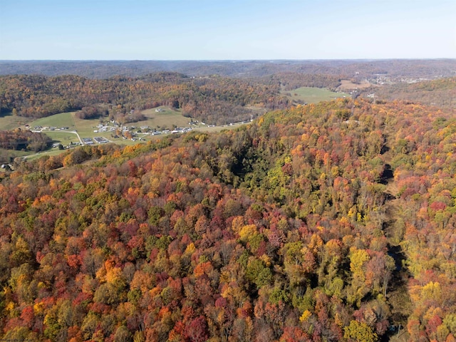 ParcelD Guston Run Road, Morgantown, WV 26505
