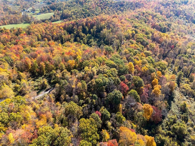 ParcelD Guston Run Road, Morgantown, WV 26505