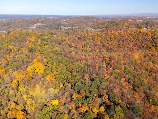 ParcelD Guston Run Road, Morgantown, WV 26505