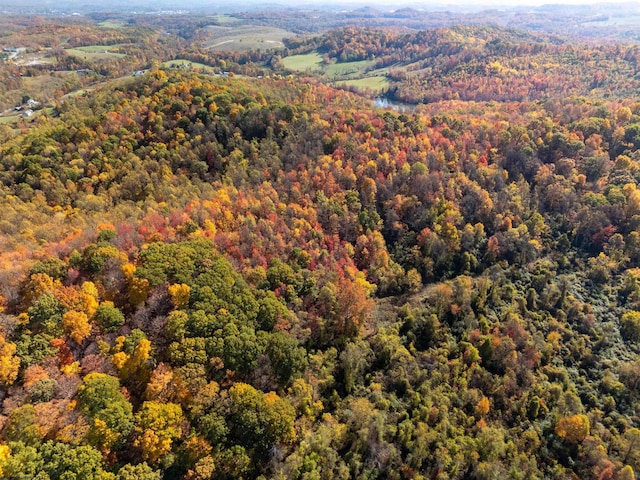 ParcelD Guston Run Road, Morgantown, WV 26505