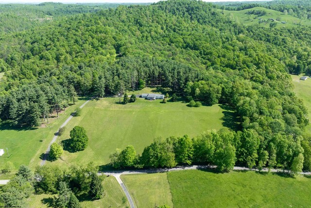 42 Ice Linn Ln, Fairmont, WV 26554 - overview of rural landscape with a forest