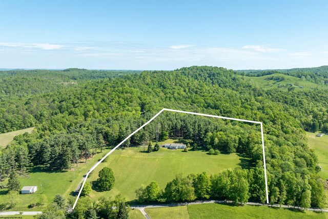 42 Ice Linn Ln, Fairmont, WV 26554 - aerial overview of property's location with a forest and property boundaries highlighted