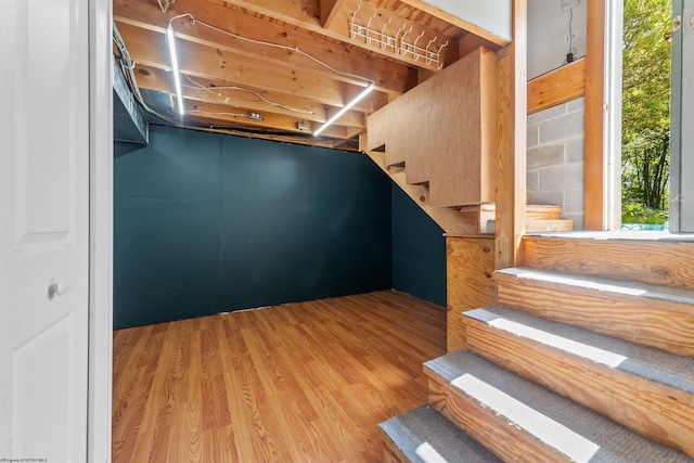 42 Ice Linn Ln, Fairmont, WV 26554 - below grade area featuring wood finished floors and stairs
