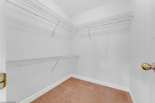2022 Georgian Ln, Morgantown, WV 26508 - walk in closet with light colored carpet