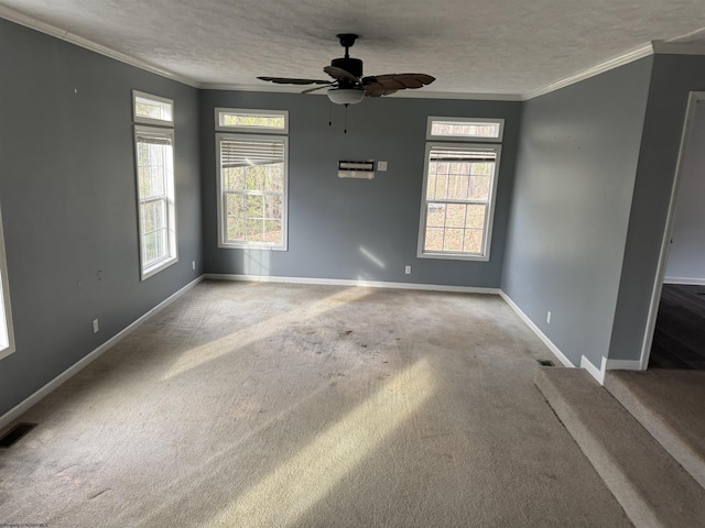 31 Sanctuary Ln, Worthington, WV 26591 - carpeted spare room with baseboards, crown molding, a ceiling fan, and a textured ceiling