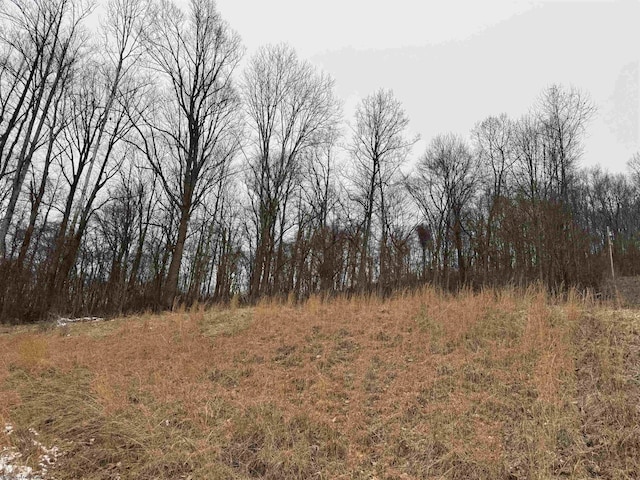 31 Sanctuary Ln, Worthington, WV 26591 - view of undeveloped land