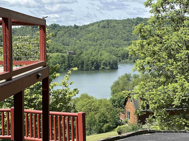 717 Lakeview Dr, Horner, WV 26372 - water view with a forest