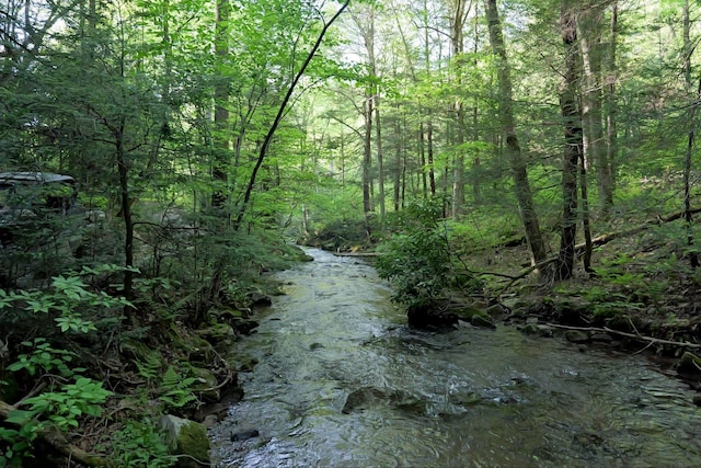 275 Possum Hollow Rd, Terra Alta, WV 26764