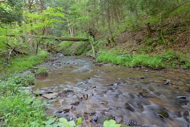 275 Possum Hollow Rd, Terra Alta, WV 26764