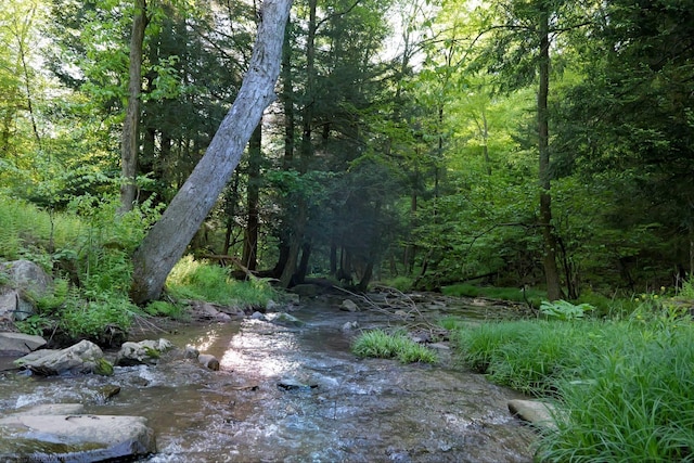 275 Possum Hollow Rd, Terra Alta, WV 26764