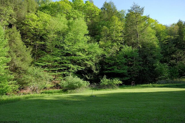 275 Possum Hollow Rd, Terra Alta, WV 26764