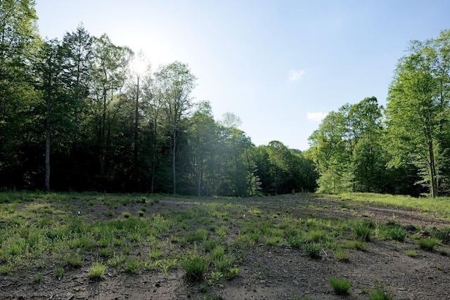 275 Possum Hollow Rd, Terra Alta, WV 26764