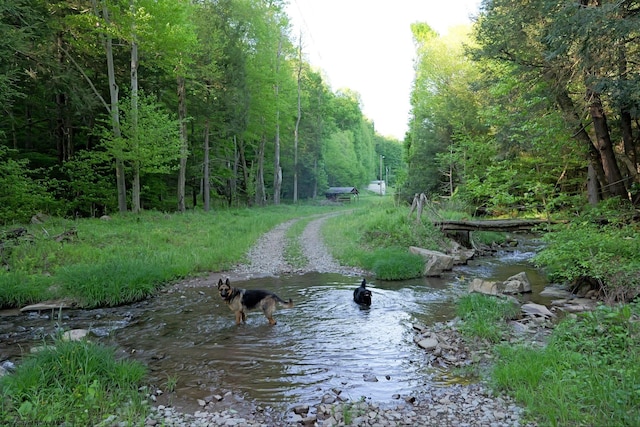 275 Possum Hollow Rd, Terra Alta, WV 26764