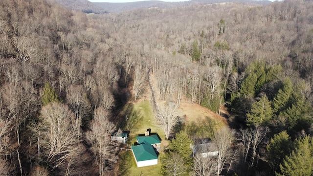 275 Possum Hollow Rd, Terra Alta, WV 26764