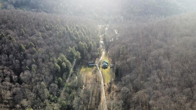 275 Possum Hollow Rd, Terra Alta, WV 26764