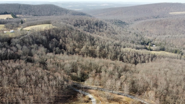 275 Possum Hollow Rd, Terra Alta, WV 26764