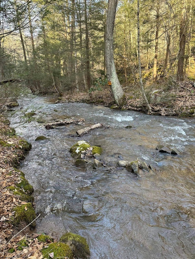 275 Possum Hollow Rd, Terra Alta, WV 26764