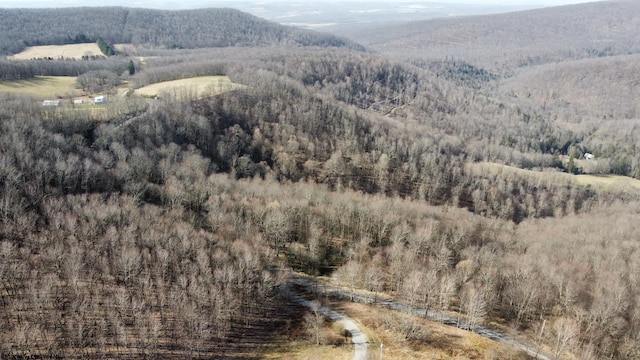 275 Possum Hollow Rd, Terra Alta, WV 26764