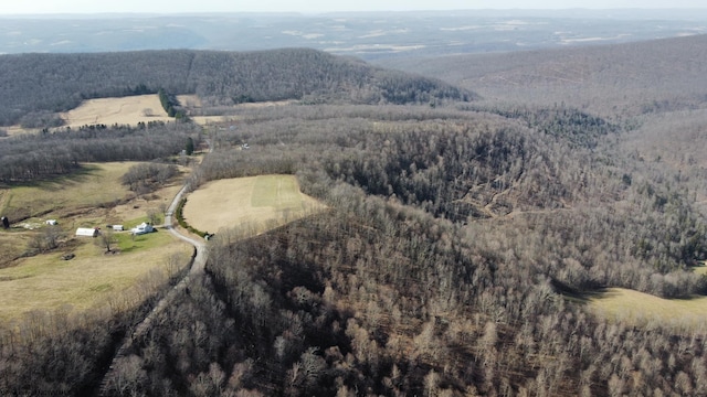 275 Possum Hollow Rd, Terra Alta, WV 26764