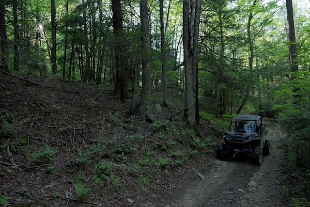 275 Possum Hollow Rd, Terra Alta, WV 26764