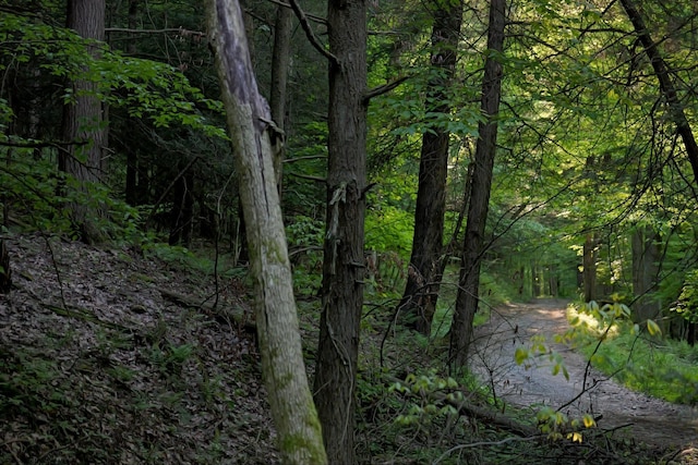 275 Possum Hollow Rd, Terra Alta, WV 26764