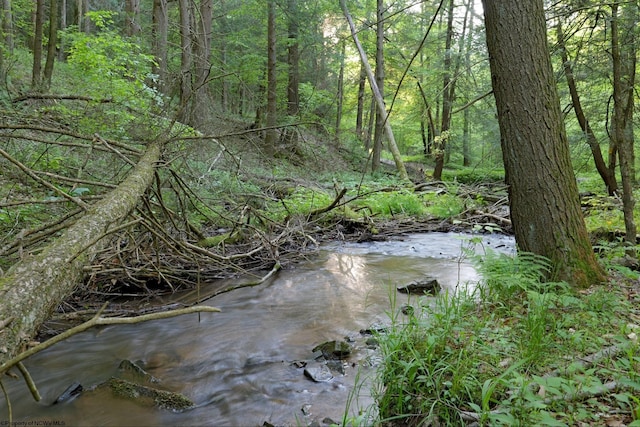 275 Possum Hollow Rd, Terra Alta, WV 26764