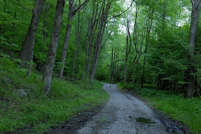 275 Possum Hollow Rd, Terra Alta, WV 26764