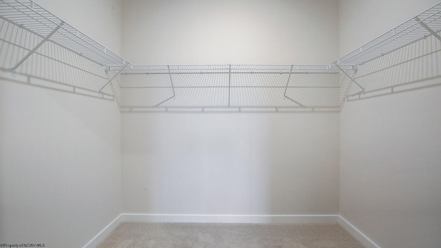 815 Bogey Ln, Maidsville, WV 26541 - walk in closet featuring carpet flooring