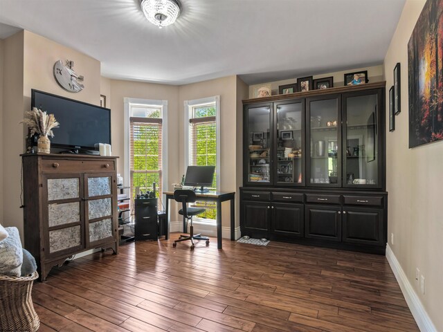 40 Briarwood Dr, Elkins, WV 26241 - home office featuring dark wood-type flooring and baseboards