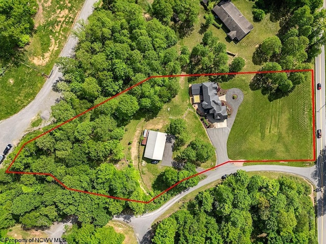 40 Briarwood Dr, Elkins, WV 26241 - aerial overview of property's location featuring property parcel outlined