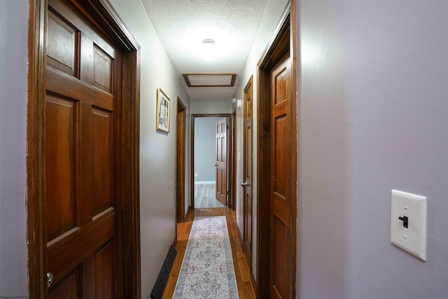 213 Forest Dr, Bridgeport, WV 26330 - hallway with wood finished floors, a textured ceiling, and baseboards
