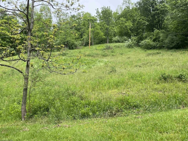 411 Cap Run Rd, Walkersville, WV 26447