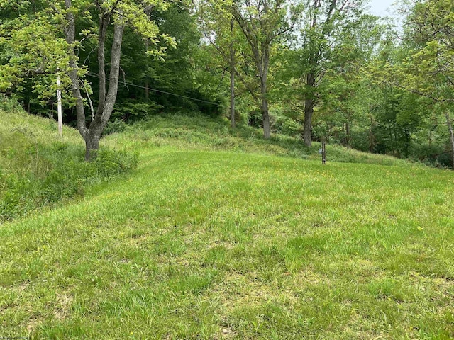 411 Cap Run Rd, Walkersville, WV 26447