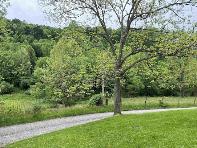 411 Cap Run Rd, Walkersville, WV 26447