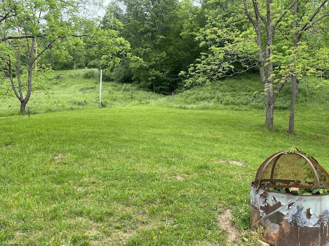 411 Cap Run Rd, Walkersville, WV 26447