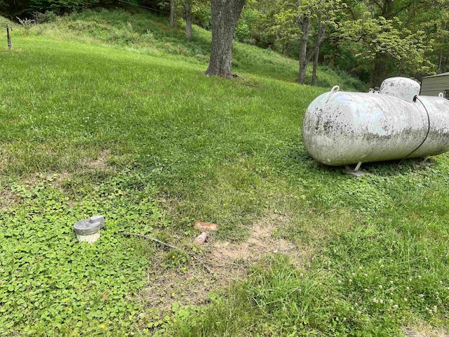 411 Cap Run Rd, Walkersville, WV 26447