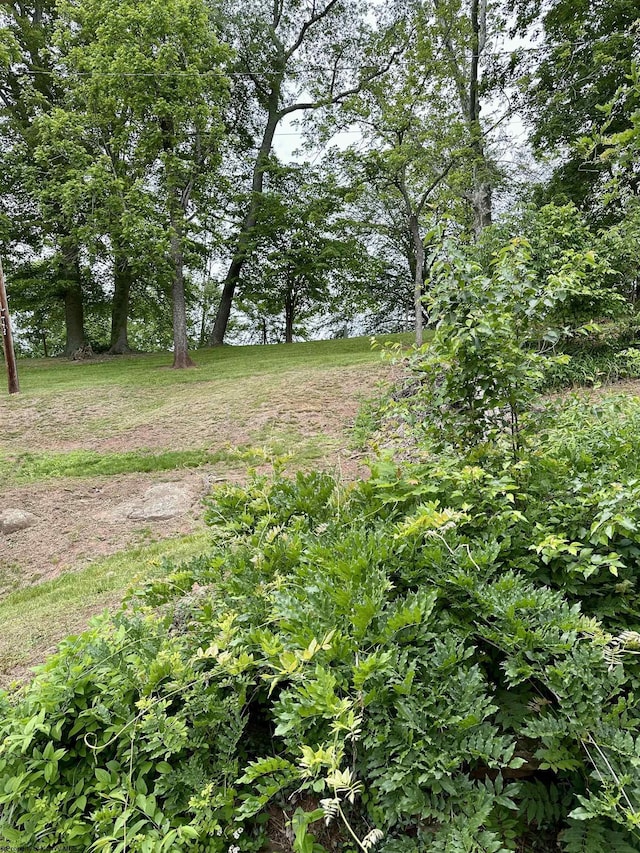 1322 Crystal Lake Rd, West Union, WV 26456 - view of yard