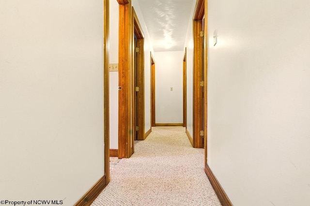 737 Summit Park Ave, Clarksburg, WV 26301 - hallway with light colored carpet and baseboards