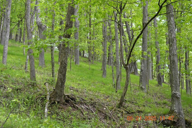 0 High Mountain Rd, Harman, WV 26270