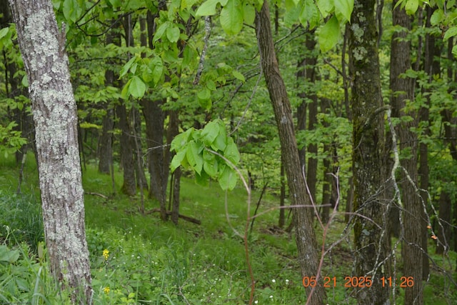 0 High Mountain Rd, Harman, WV 26270