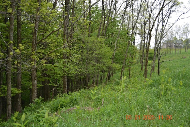 0 High Mountain Rd, Harman, WV 26270