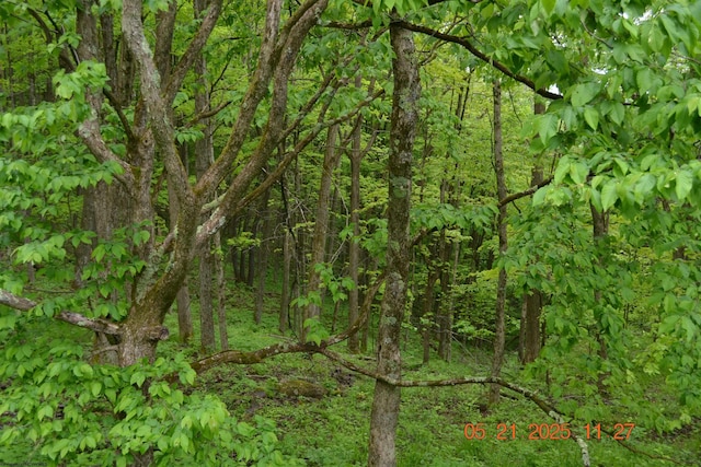 0 High Mountain Rd, Harman, WV 26270