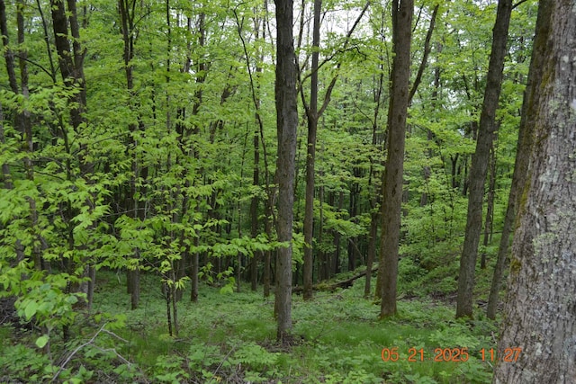 0 High Mountain Rd, Harman, WV 26270