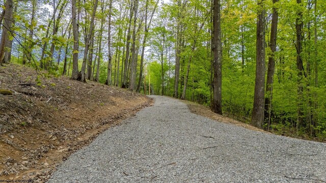 120 Laurel Loop, Bruceton Mills, WV 26525