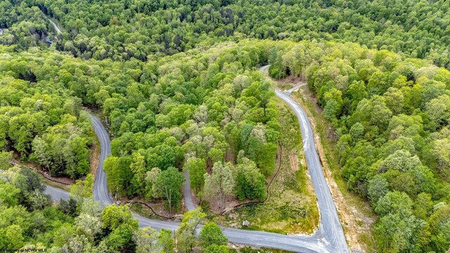 120 Laurel Loop, Bruceton Mills, WV 26525