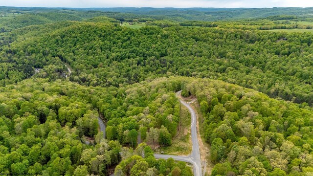 120 Laurel Loop, Bruceton Mills, WV 26525